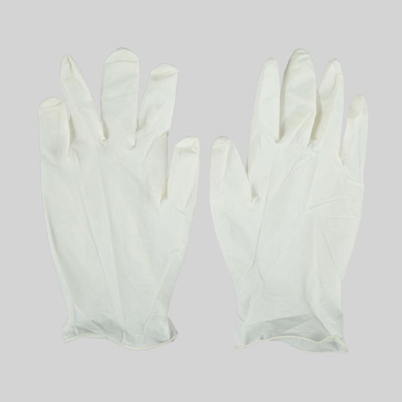 Disposable Medical Sterile Latex Surgical Gloves (Powdered or Powder Free) Used in Hospital