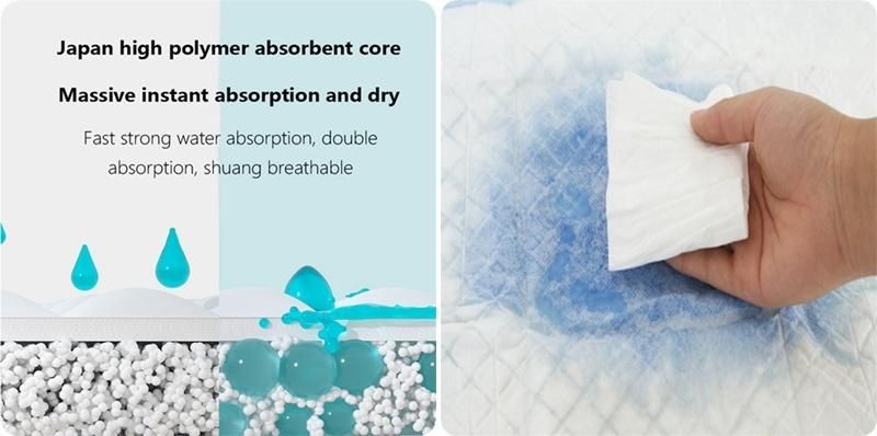 Home Training Mat for Puppies 60X40cm, 60X45cm, 60X60cm
