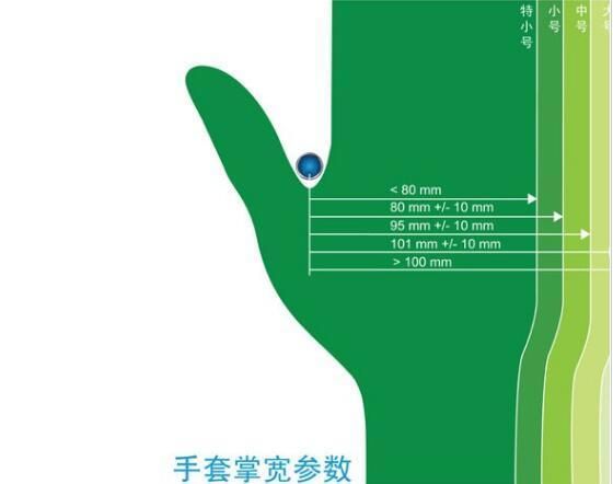 Disposable Nitrile Gloves Powder Free and Latex Glove High Quality Sterile 100% Natural Latex Surgical Examination Glove