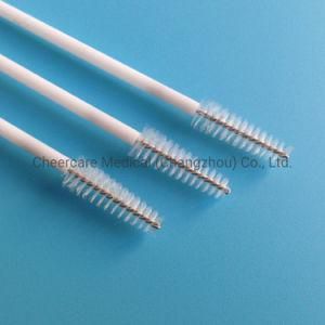 Disposable Medical Sample Brush Surgical Nylon Clean Brush Ytology Cervica Sampling Vagina Plastic Brush