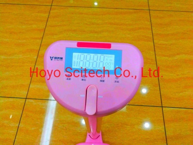 Digital Electronic Computing Price Scale Weight Electronic Weight Scale 200