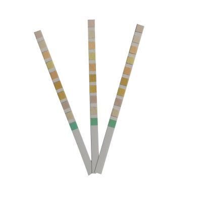 Reagent Strip Disposable Medical Supplies for Urinalysis Strips Rapid Test 11 Parameters