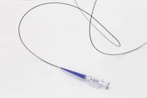 Ptca Balloon Dilatation Catheter with Ce