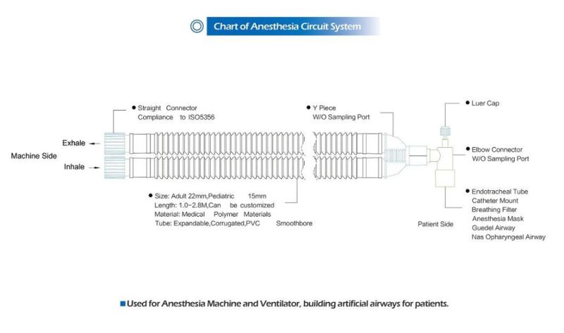 CE and ISO Marked High Quality Disposable Corrugated Anesthesia Circuit for Hospital Use