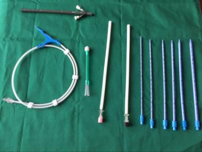 Reborn Medical Percutaneous Nephrostomy Catheter Calculus Removal Set with CE Certificate