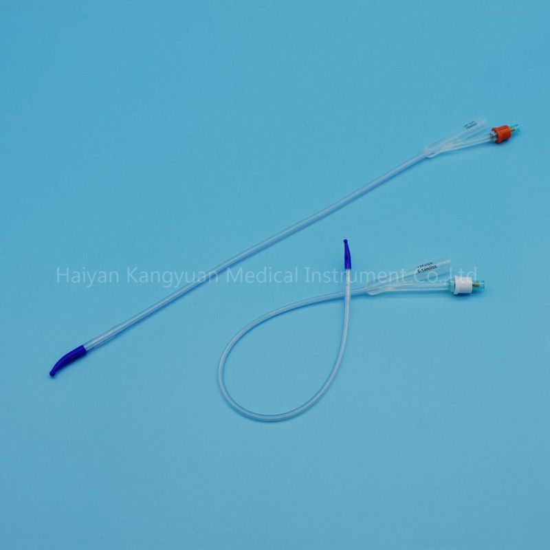 Tiemann Coude Tip 2 Way All Silicone Urinary Urethral Catheter Balloon Producer China