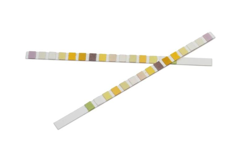 New Design! Disposable Medical Urine Collector, Urine Collection Tube