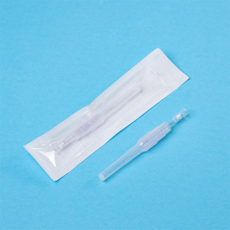 Disposable IV Cannula with Wing with Injection Port Pen Type