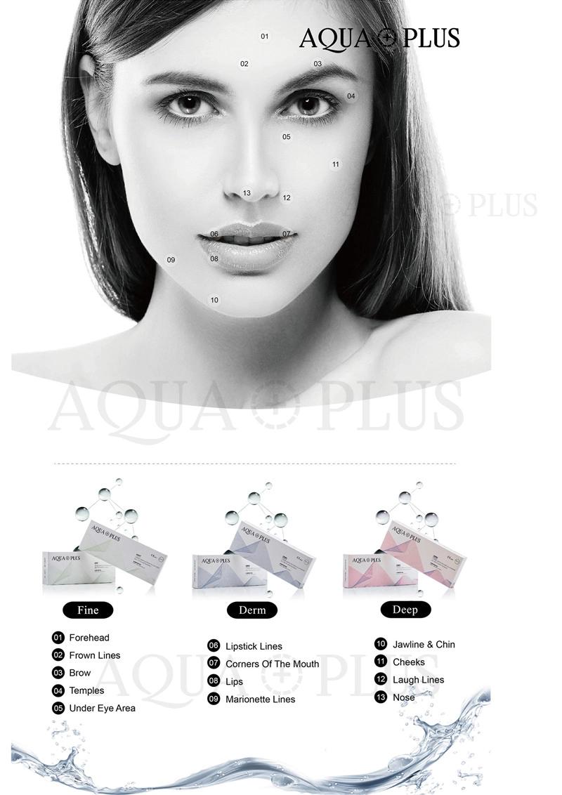 Hong Kong Wrinkle Remover Hyaluronic Acid Dermal Fillers for Lips and Facelifts Cross Linked Derm From Aqua Plus