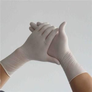 Fast Shipping Disposable Surgical Latex Gloves Powder Free