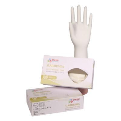 Disposable Latex Glove with Powder Free for Food Handle