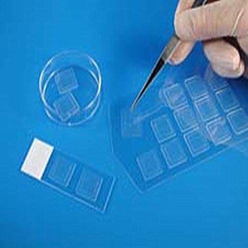 Glass Slides/Cover Glass/Cover Slip