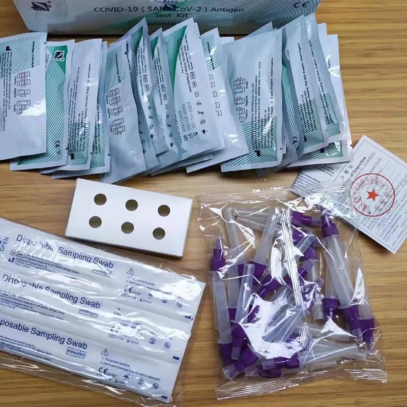 Medical Disposable Sampling Swab Nasopharyngeal Swab