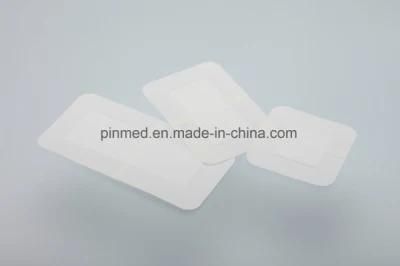 Self-Adhesive with Absorbent Pad Dressing