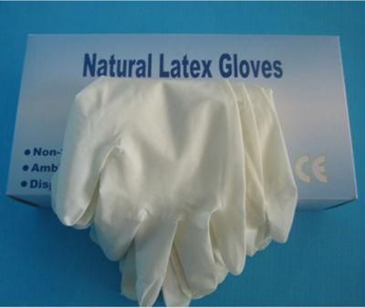 Disposable Medical Latex Examination Gloves Power Free