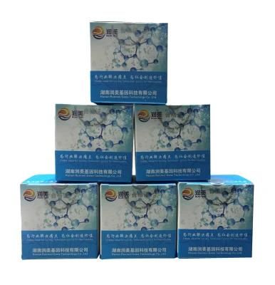 Neisseria Meningitidis Dual Nucleic Acid Detection Pre-Packed PCR Kit