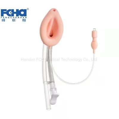 Laryngeal Mask Airway Anesthesia