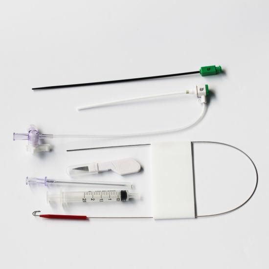 Competitive Price Interventional Cardiology Radial Introducer Sheath