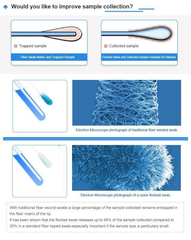 Swab Disposable Medical Sterile Swab Sticks with Nylon Flocked Tip Sponge Oral Throat Nasal Cervical Urethra DNA Test