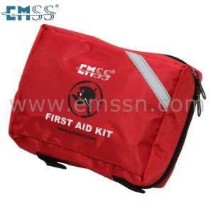 Car Mini First Aid Kit Bag
