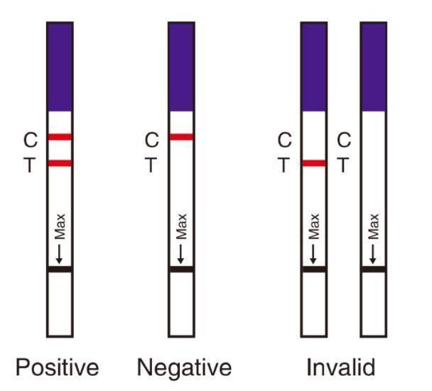 CE Certificated One Step Infectious Diseases Malaria/HCV/Hbsag/H. Pylori/Syphilis Rapid Test Kit Strip Device Cassette