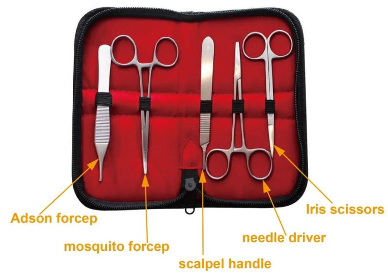 Medical Student Training Suture Pad with Surgical Tool Suture Practice Kit