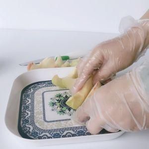 China Manufacturer 100PCS/Box Powder Free Restaurant Use Examination PVC Vinyl Disposable Gloves