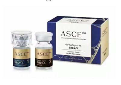 Wassup Apgujeong Korean Skin Care Reviewstthe Benefits of The Asce+ Exosome Skin Care Dermal Signal Kit Therapy