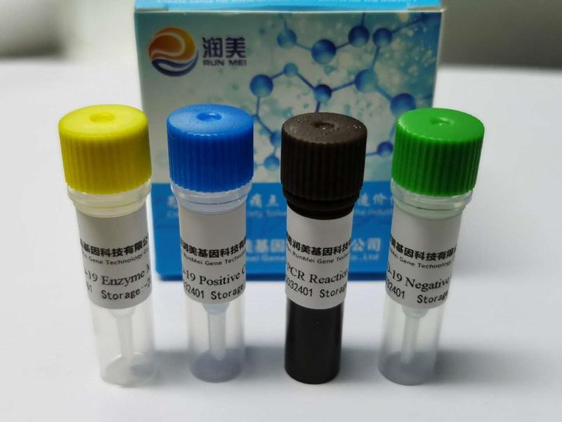 PCR Rapid Test Nucleic Acid Extraction Detection Kit Testing Kit