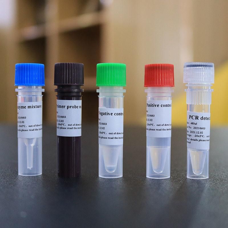 Biobase PCR Test Kit PCR Extraction Rt PCR Test Kit