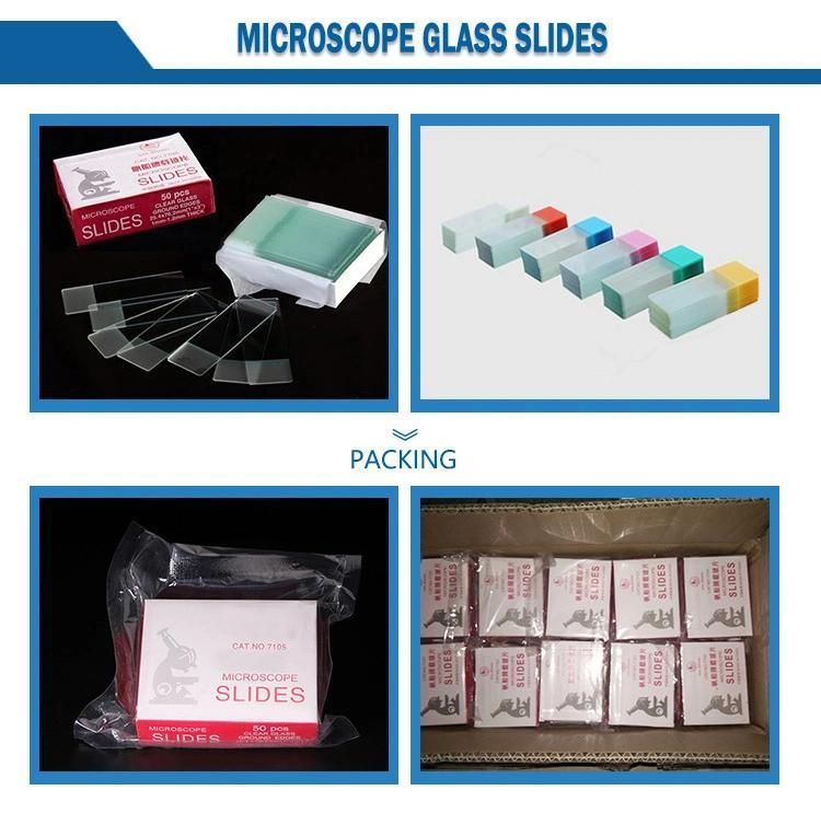 Excellent Quality Medical Disposable Lab Consumable Parasitology Prepared Microscope Slides (7105)