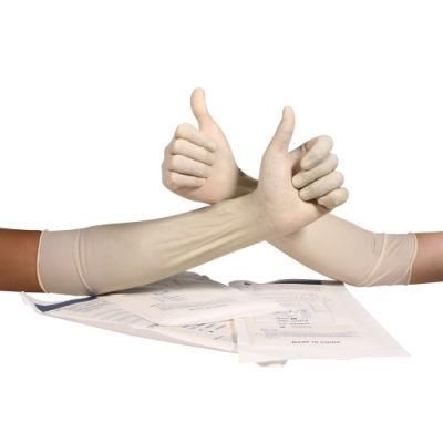 Disposable Latex Gynaecological Glove with Powder Free Medical Use