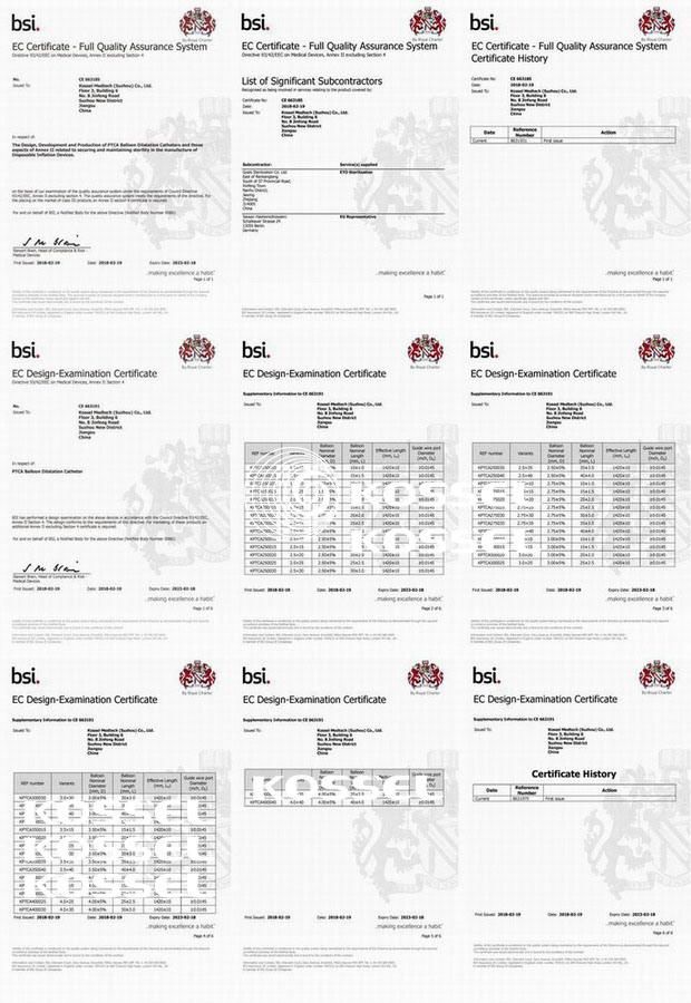 FDA Manufacturer of HP&Nc Balloon Dilatation Catheter Medical Supplies
