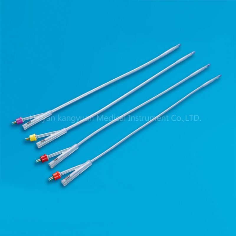 Two Way Silicone Foley Catheter Standard for Single Use China Factory Round Tip with Normal Balloon