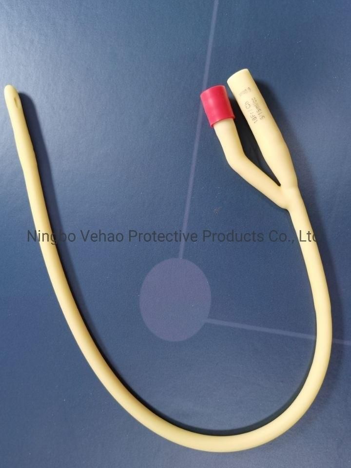 Disposable Medical Sterile 100% Latex Foley Catheter DMD-0061