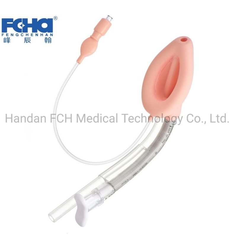 Double Lumen Laryngeal Mask Airway