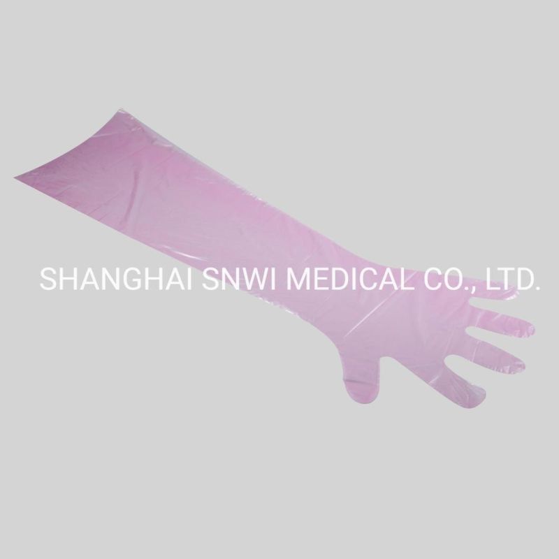 Disposable Hand Gloves Powder Free Nitrile Gloves Used in Hospital