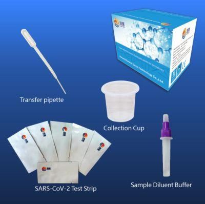 Virus Antigen Detection Medical CE Ivd Saliva/Swab Antigen Test Kit
