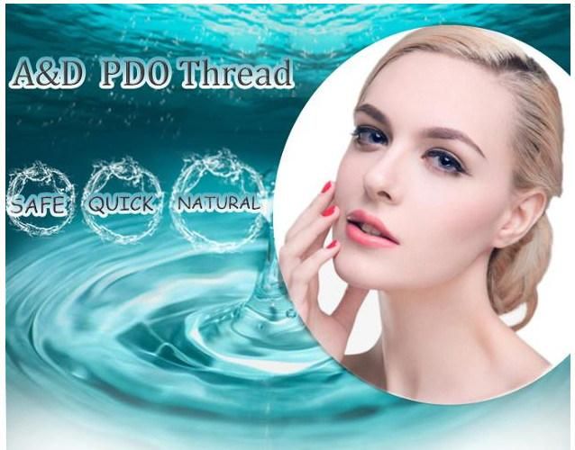 Korea Suture Disposable Facial Pdo Hilos Cog 3D 4D 6D Molding Cog Fish Bone Lifting Thread