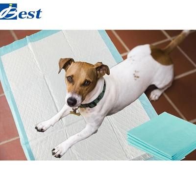 Professional Dog Training Supplies Pet Pads Disposable