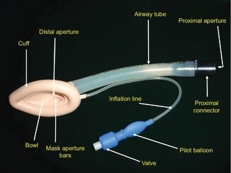 Disposable or Reusable Medical Grade Silicone/PVC Laryngeal Mask Airway FDA Ce ISO