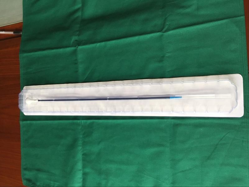 Ureter Smooth Medical Ureteral Access Sheath