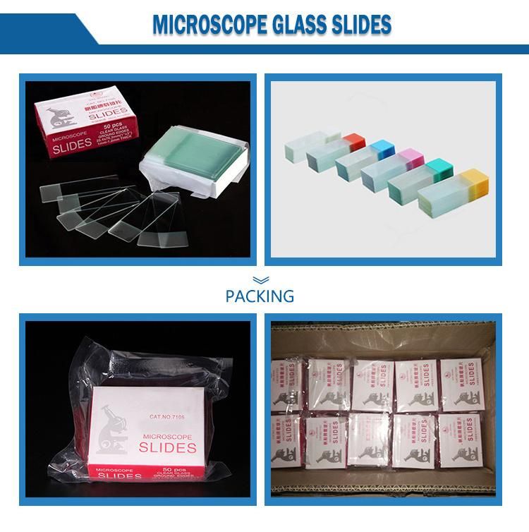Lab Disposable Medical Stool Container with Spoon Manufacture