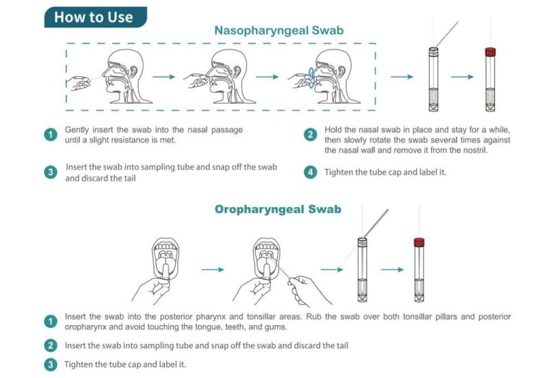 Medical Disposable Sterile Sample Collection Nylon Flocked or Cotton Swabs