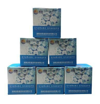 Enterovirus Universal Nucleic Acid Detection Kit