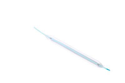 Tapered Core Wire Performance Ptca Balloon Catheter with CE