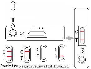 Hepatitis C Virus Antibody Test Kit Medical Testing HCV