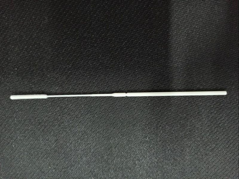 Disposable Sampling Swab Oral Swab Nylon Flocked Swab Sterile Specimen Collection Swab Nasal