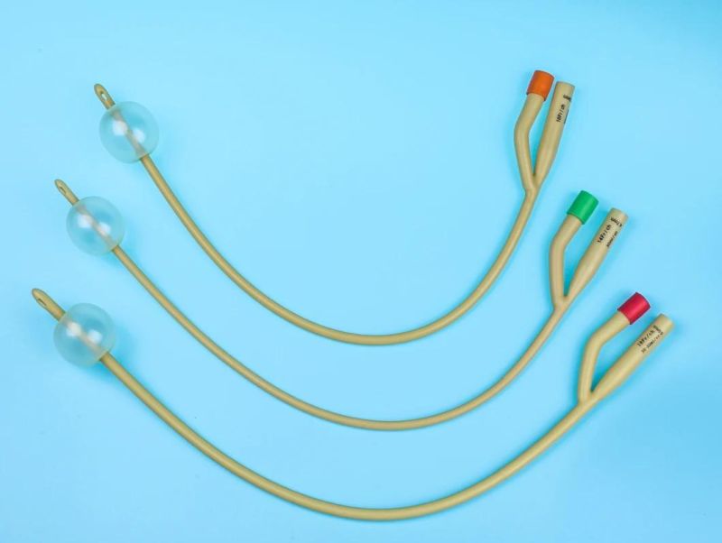 Urethrostomy Urethral Catheter Use in The Drainage and/or Collection and/or Measurement of Urine