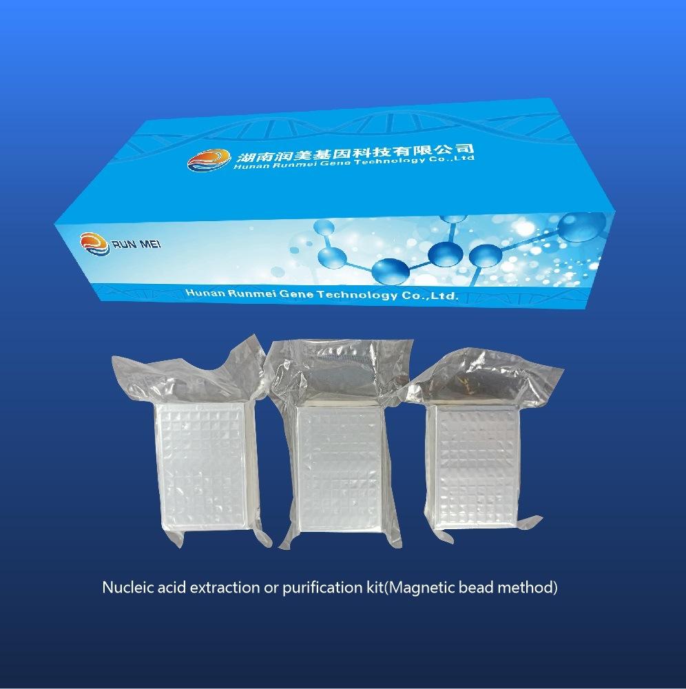 Magnetic Bead Nucleic Acid Extraction Kits Rna Isolation DNA Purification Lab Reagent